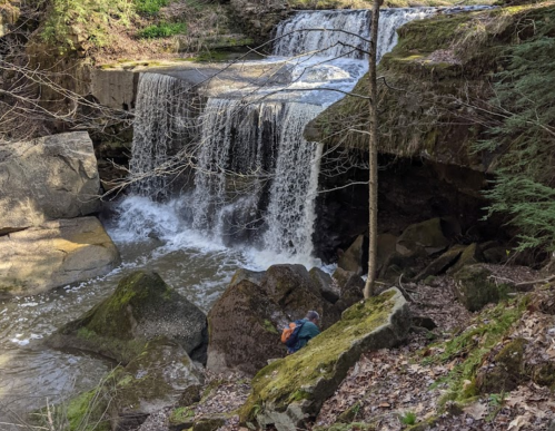 A serene waterfall cascades over rocks, surrounded by trees and mossy boulders in a tranquil forest setting.