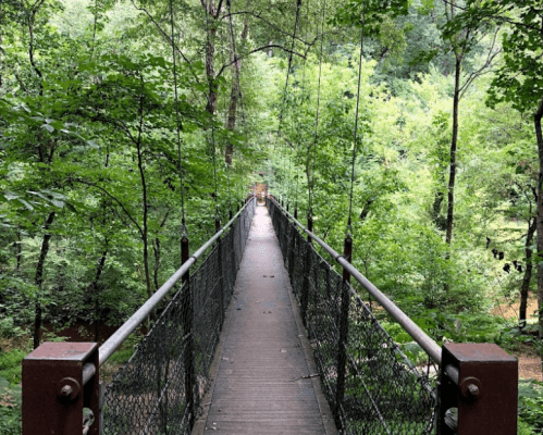 A wooden suspension bridge surrounded by lush green trees, leading into a serene forest.