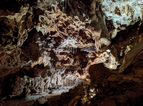 A dimly lit cave interior featuring rocky walls and hanging stalactites.