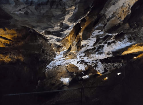 A dimly lit cave interior with rocky walls and a textured ceiling, illuminated by soft lights.