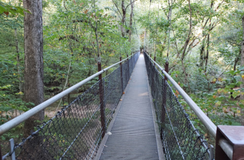 A narrow, elevated walkway surrounded by lush green trees in a forested area.