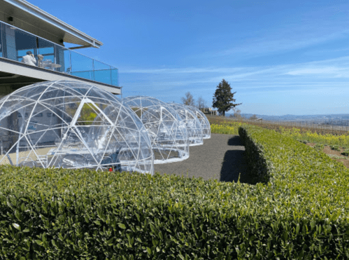 Clear geodesic domes set in a vineyard, with a modern building and blue sky in the background.