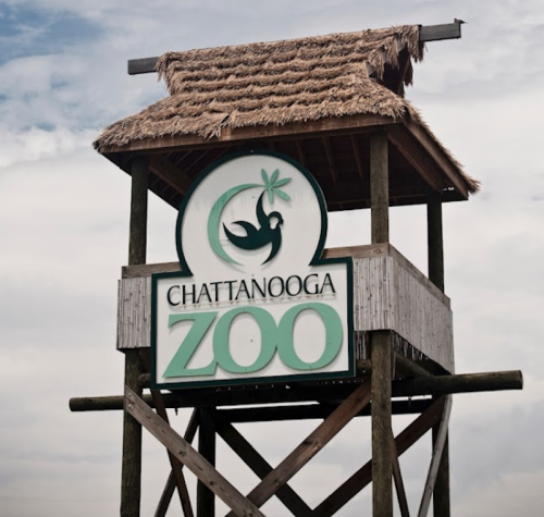 Sign for Chattanooga Zoo featuring a bird logo, set on a wooden structure with a thatched roof.