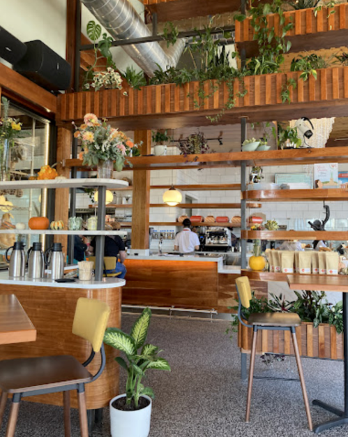 A cozy café interior with wooden decor, plants, and a counter where staff prepare drinks.