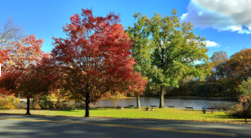 A scenic view of a riverbank with vibrant red and green trees under a clear blue sky.