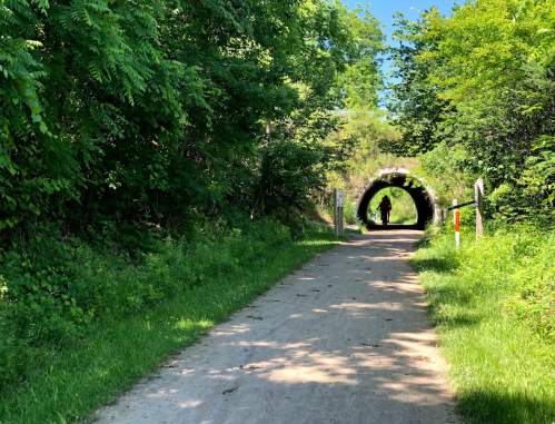 A person stands in a tunnel at the end of a dirt path, surrounded by lush greenery and trees.