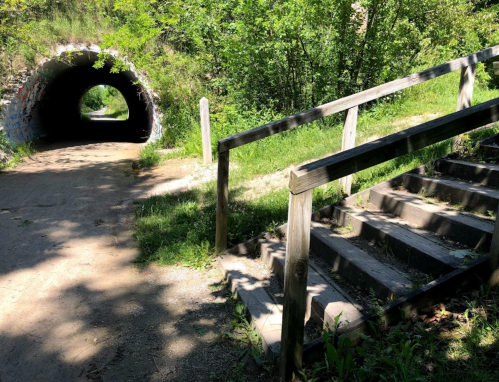 A wooden staircase leads up to a tunnel surrounded by greenery, with a dirt path visible in the foreground.