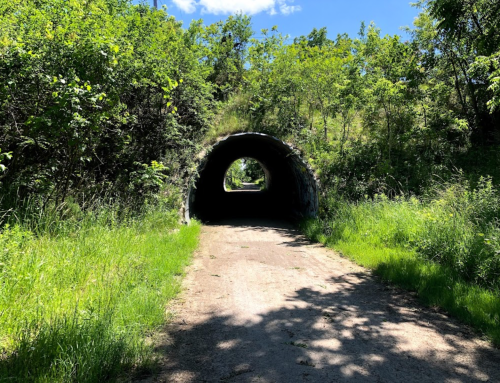 A dirt path leads through a stone tunnel, surrounded by lush greenery and bright blue skies.