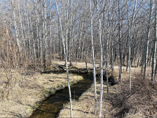 A serene landscape featuring a winding creek surrounded by bare trees and dry grass under a clear blue sky.