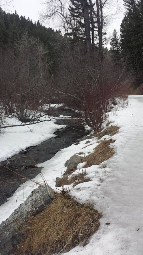 A snowy path alongside a flowing creek, surrounded by trees and bare shrubs in a winter landscape.