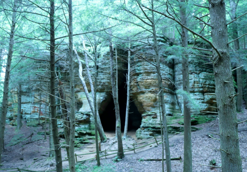 A rocky cave entrance surrounded by tall trees in a lush, green forest.
