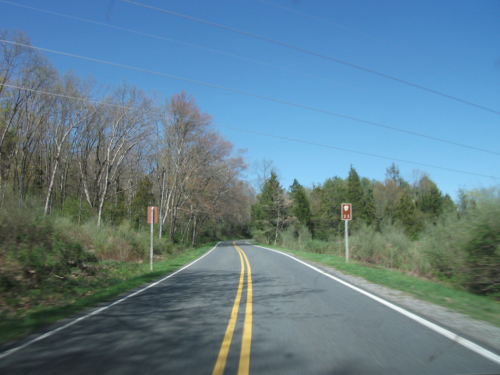 A winding road surrounded by trees under a clear blue sky, with road signs visible on the side.