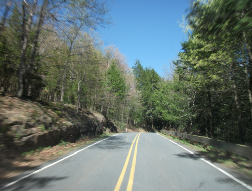 A winding road through a lush green forest under a clear blue sky.