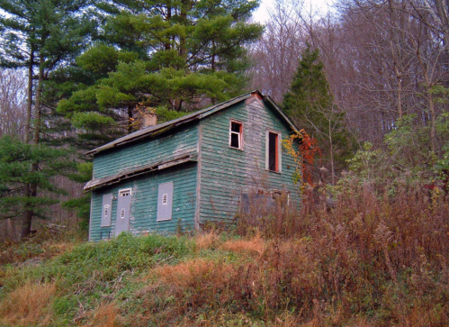 Abandoned green house surrounded by trees and overgrown vegetation on a hillside.