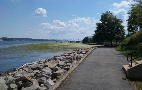 A scenic riverside path lined with rocks, trees, and blue skies, with water and distant bridges visible.