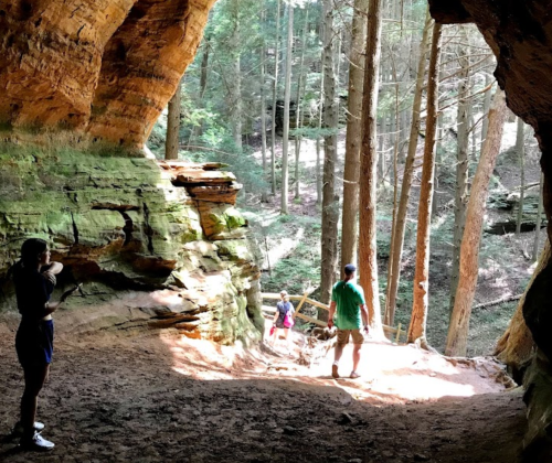 A group of people exploring a cave surrounded by tall trees and natural rock formations. Sunlight filters in.