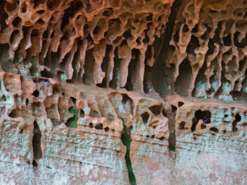 Close-up of textured rock surface with intricate patterns and holes, showcasing natural erosion and geological features.