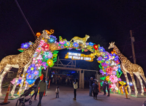 Colorful illuminated archway featuring giraffes and flowers, welcoming visitors to "The World of Lights" at night.