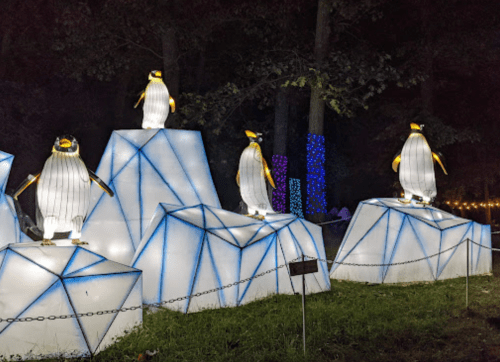 Illuminated penguin lanterns on ice-like structures in a dark forest setting.