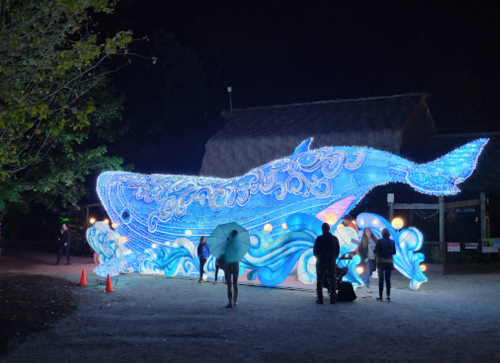 A large illuminated whale sculpture with blue waves, surrounded by people at night.
