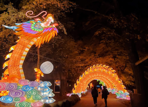 Colorful illuminated dragon and archway decorations at night, with people walking along a path surrounded by trees.