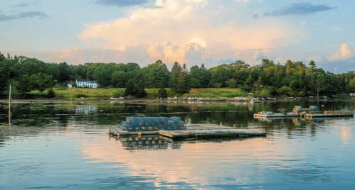 A serene lake scene with floating docks, lush greenery, and a house in the background under a colorful sky.