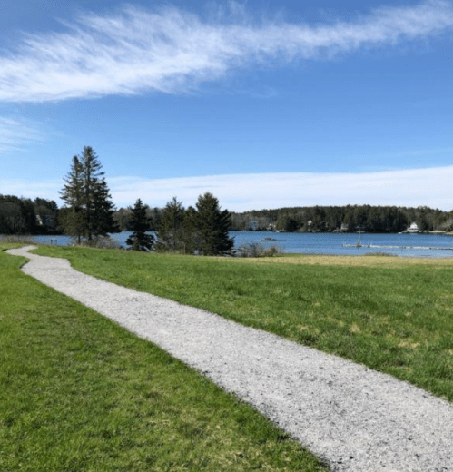 A winding gravel path leads through green grass to a serene lake, surrounded by trees under a clear blue sky.