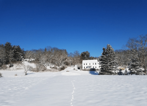 A snowy landscape with a white house and trees under a clear blue sky. Footprints lead through the snow.