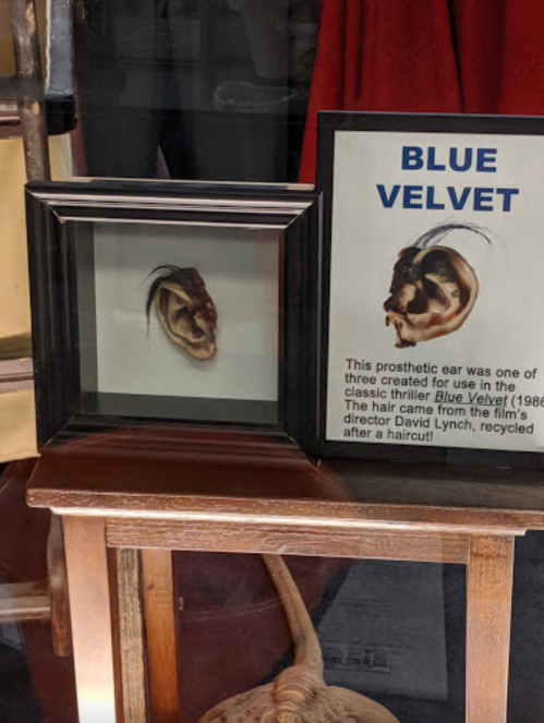A framed prosthetic ear from the film "Blue Velvet," displayed with a sign explaining its origin and history.