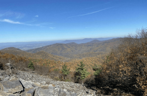 A panoramic view of rolling mountains covered in autumn foliage under a clear blue sky.