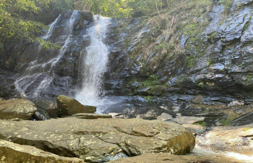 A serene waterfall cascading over rocks, surrounded by lush greenery in a tranquil natural setting.