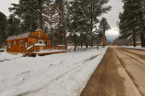 A snowy landscape featuring a wooden cabin beside a dirt road, surrounded by tall pine trees.