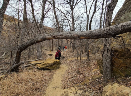 Hikers walking along a trail surrounded by bare trees and rocky terrain under a cloudy sky.