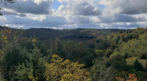 A scenic view of rolling green hills under a partly cloudy sky, with trees in the foreground and background.