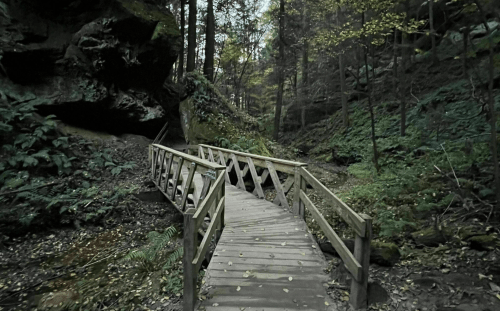 A wooden bridge curves through a lush, green forest with rocky cliffs and scattered leaves on the ground.