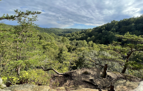 A panoramic view of a lush green valley surrounded by hills under a partly cloudy sky.