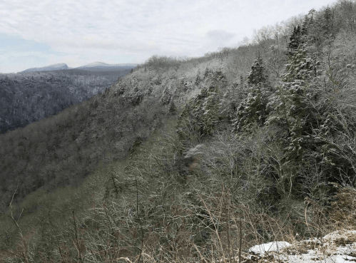 Snow-dusted trees line a steep, green hillside under a cloudy sky, with distant mountains visible in the background.