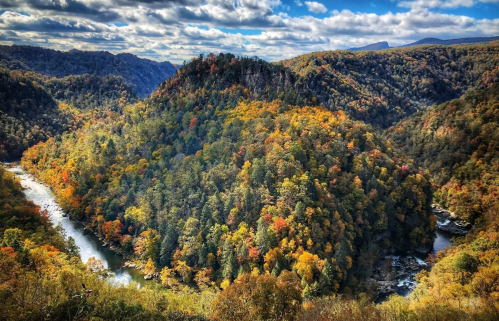 A scenic view of a river winding through a vibrant, autumn-colored forested landscape under a cloudy sky.