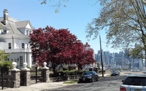 A scenic view of a street lined with trees and a house, overlooking a city skyline in the background.