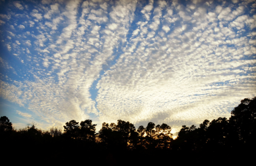 A vibrant sky filled with textured clouds, transitioning from blue to golden hues at sunset, framed by dark silhouettes of trees.