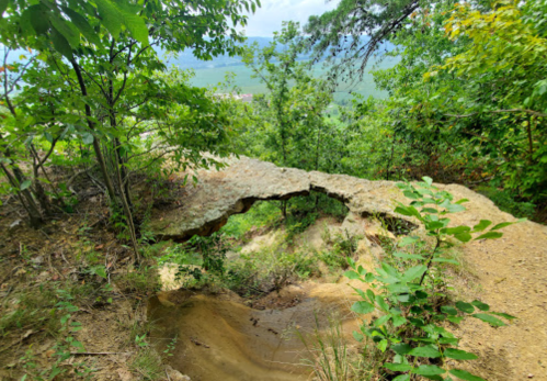 A rocky outcrop surrounded by greenery, overlooking a scenic view of hills and trees in the background.