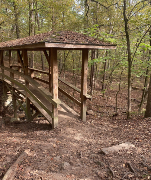 A wooden shelter on a forest path surrounded by trees and fallen leaves.