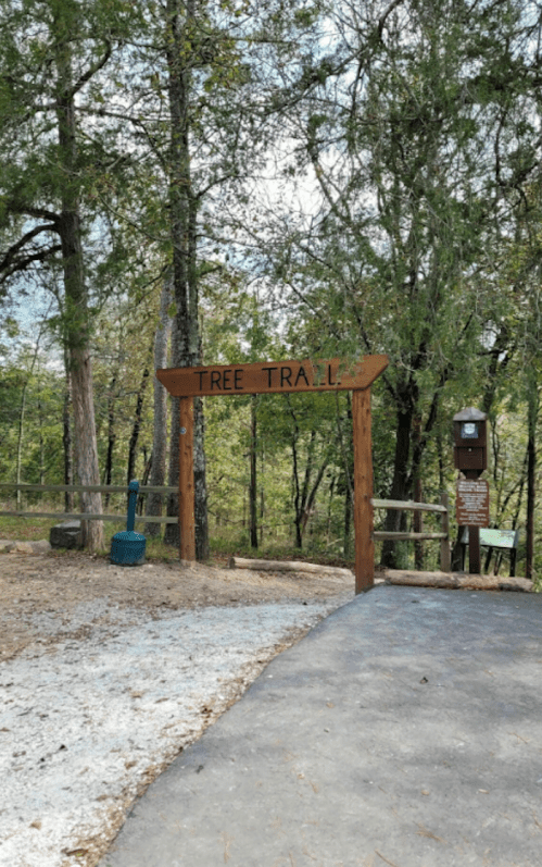 Wooden sign reading "Tree Trail" at the entrance of a forest path, surrounded by trees and a clear sky.