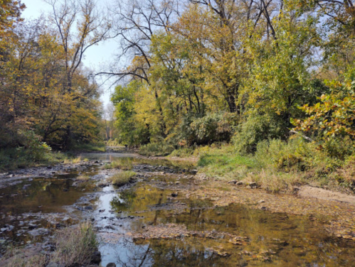 A serene river scene surrounded by trees with autumn foliage, reflecting the clear blue sky.