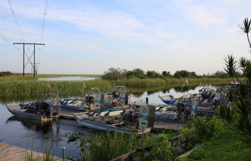 Airboats lined up along a calm waterway, surrounded by tall grasses and under a clear blue sky.