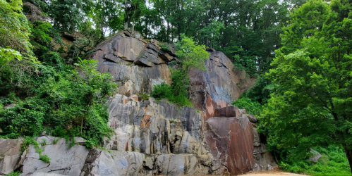 A rocky cliffside covered in greenery, with trees surrounding the area and a sandy base at the bottom.