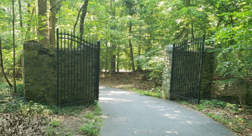 A pair of black wrought iron gates stands open in a lush green forest, leading to a paved path.