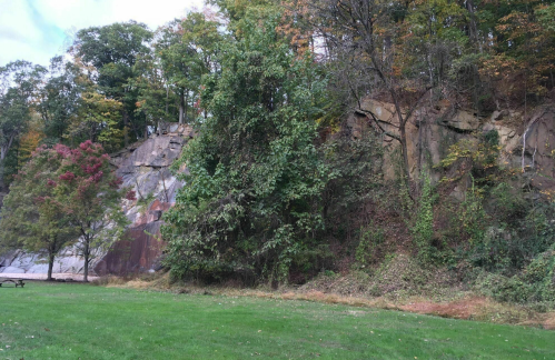 A rocky cliffside with trees and grass in the foreground, showcasing autumn foliage and a serene natural landscape.