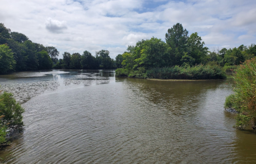 A serene river scene with lush greenery and trees lining the banks under a partly cloudy sky.