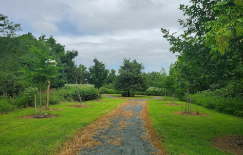 A gravel path winds through a lush green park with trees and cloudy skies overhead.